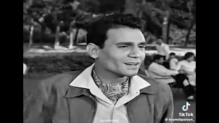 لو انا في مكان زي دا روعة ادخل جوا البطانية وفنجان قهوة سخن واسمع صوت المطر ابعد عن العقرب 