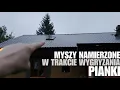 Download Lagu Myszy nacierają z każdej ze stron-Pierwsze zakupy specyfików na myszuny i nie tylko!