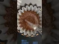Download Lagu Origami? 🤔 Kávové příslušenství ☕, nebo papírová skládačka? 🗞️