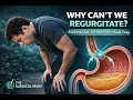 Why can t we regurgitate - Esophageal Sphincters made easy