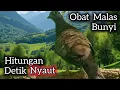 Download Lagu PERKUTUT LOKAL GACOR SUARA BESAR COCOK UNTUK PANCINGAN \u0026 PIKAT. 