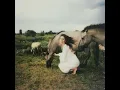 Hold your Horses