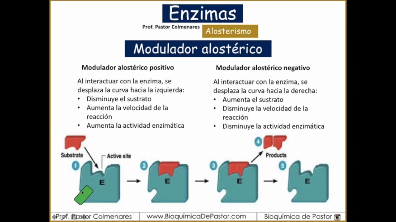 Alosterismo | Enzimas Parte XIII