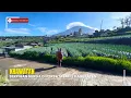 Download Lagu INDAH MENDAMAIKAN ❗, SERPIHAN SURGA DI PERBATASAN 2 KABUPATEN, DUSUN KRAWATAN, PULOSAREN, WONOSOBO