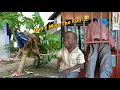 Lagu The Most Funniest Videos On The Internet 2025//Extreme Try Not To Laugh Challenge 