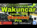 Download Lagu WAKUNCAR - Camelia Malik (KARAOKE) Rock Dut || Nada Pria B minor