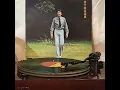 林子祥(黑膠碟)~ 青春熱潮