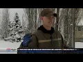 Dog saved by Bozeman UPS driver in miraculous Christmas rescue