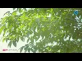 [THAISUB/ซับไทย] KIM NAYOUNG (김너영) - 'TO BE HONEST' (솔직하게 말해서 나) M/V