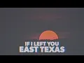 Pecos The Rooftops - Like The Movies