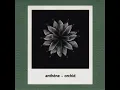 Trace - Anthéne