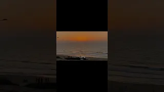 على قد ما قلبي وجعني 