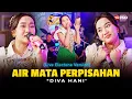 Download Lagu Diva Hani - Air Mata Perpisahan (Live Dangdut Electone Lembayung Music) | Cincin di jari manismu
