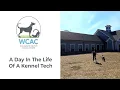 Williamson County Animal Center - A Day In The Life Of A Kennel Tech