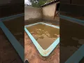 Limpando piscina 1 ano suja #limpeza #satisfying #pool #foryou #fy #viral #piscinas #satisfy #shorts