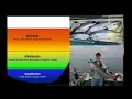 Thermocline How to fish it for King Salmon
