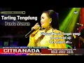 Download Lagu SEWU DADI SIJI ~ TARLING TENGDUNG || CITRA NADA LIVE DS.DUKUH TENGAH - KETANGGUNGAN