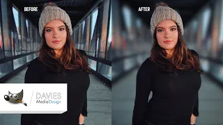 [Youtube thumbnail] Blurring the background of a photo in GIMP.