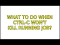 Ubuntu What to do when Ctrl-C won t kill running job 5 Solutions