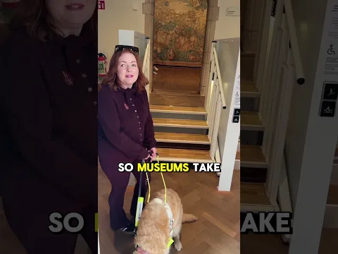 These stairs can do what??
