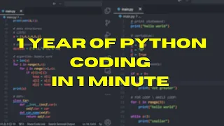 1 YEAR OF PYTHON CODING IN 1 MINUTE