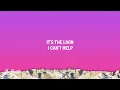pupsies - misery. (Lyrics)