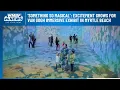 Something so magical Excitement grows for Van Gogh Immersive Exhibit in Myrtle Beach
