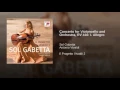 Cello Concerto in G Minor, RV 416: I. Allegro
