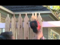 How To Install Pickets For A Picket Fence - DIY At Bunnings