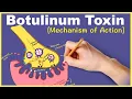 Download Lagu Botulinum Toxin: Mechanism of Action