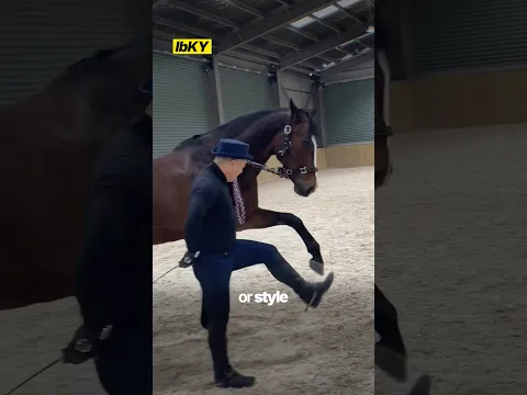 How can a Horse move like this?