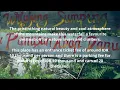 Download Lagu DESCRIPTION OF CURUG CILEAT. WHAT DO YOU KNOW ABOUT CURUG CILEAT.