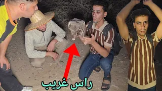  العثور على الجمجمة الغريبة في بغداد مدينة المدائن!
