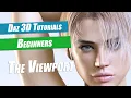 Daz 3D Beginner Tutorial The Viewport