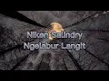 Lagu Niken Salindry   Ngelabur Langit