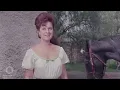 Antonio Aguilar: Juan Colorado | Película Completa Restaurada en HD