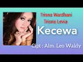 Lagu Trisna Wardhani/Trisna Levia - Kecewa (Dangdut Lawas)