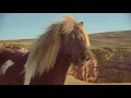 Three Pony Advert (Fleetwood Mac - Everywhere) [2013]
