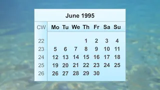 June 1995 Calendar