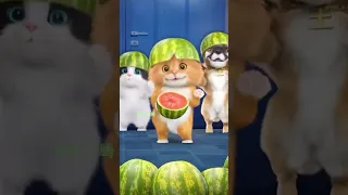 Дуди дуди дам дам 