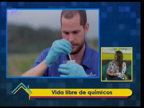 Vida y Bienestar: Vida libre de químicos