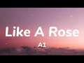 Download Lagu A1 - Like A Rose (Lyrics)