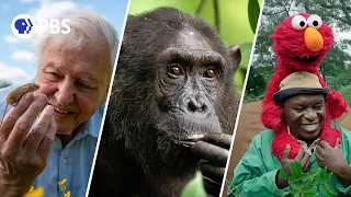 Sneak Peek: The New Season of NATURE