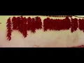 Blank & Jones - Glow (Official Video)