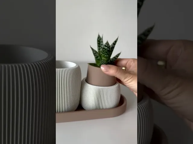 STRAMEL pen holder with a planter set video thumbnail
