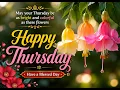 Good Morning Happy Thursday Beautiful Flower Wishes and Blessings