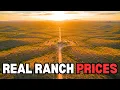 15 Dirt-Cheap Ranches in Arizona with Acreage
