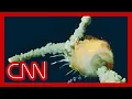 Space Shuttle Challenger explosion 1986