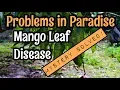 Problems in Paradise - Mango Leaf Disease
