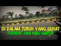 Download Lagu Story wa 30 detik |Goyang Santuy |dj asmara terbaru